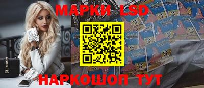 тгк Бийск