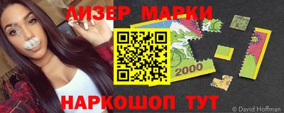тгк Бийск