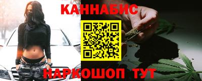 тгк Бийск
