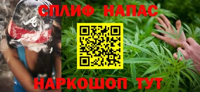 тгк Бийск