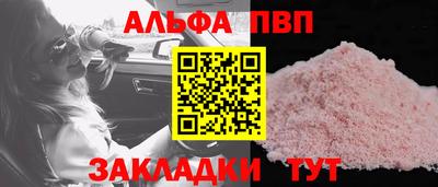 тгк Бийск
