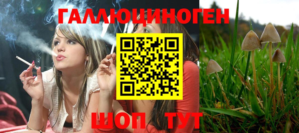 Псилоцибиновые грибы Cubensis  Вход с VPN  Галлюциногенные грибы Cubensis  Ишим 
